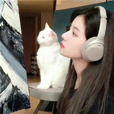 舍不得星星海报