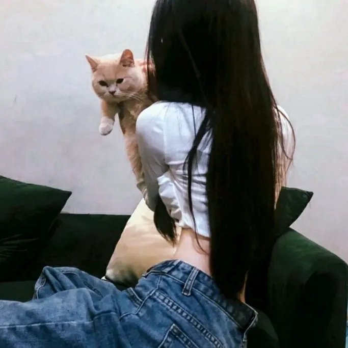 娘海报